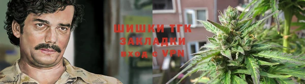 apvp Бородино