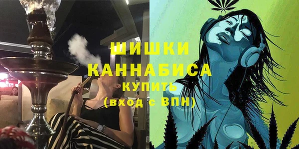 apvp Бородино