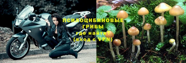 apvp Бородино