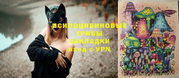 apvp Бородино
