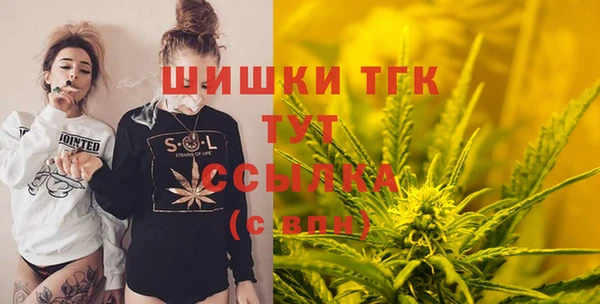 apvp Бородино