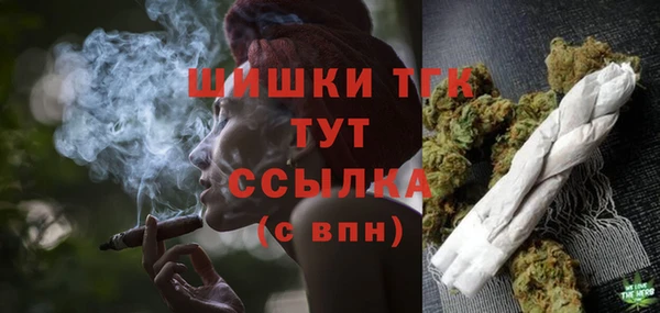 apvp Бородино